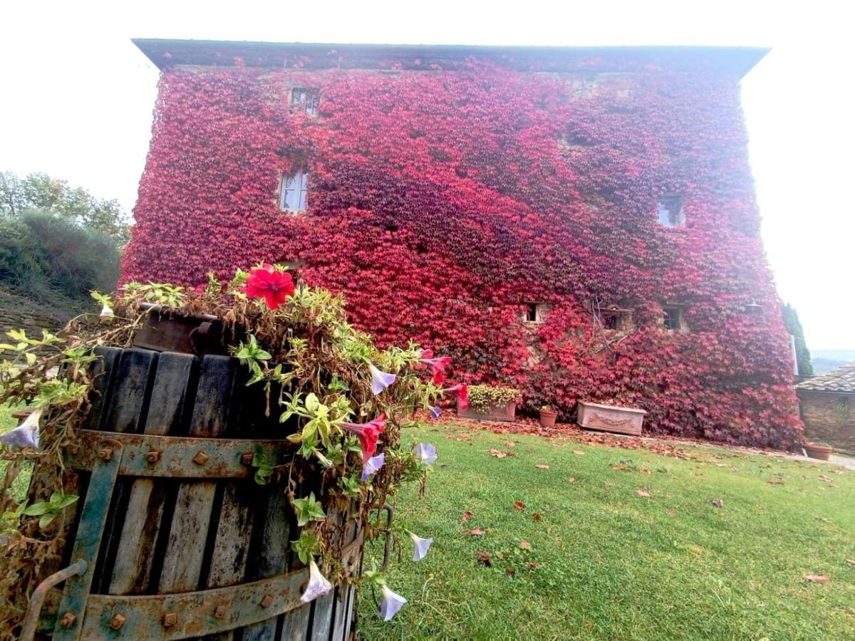 Locanda Di Santantimo Bed & Breakfast Chiassa Superiore Exterior photo